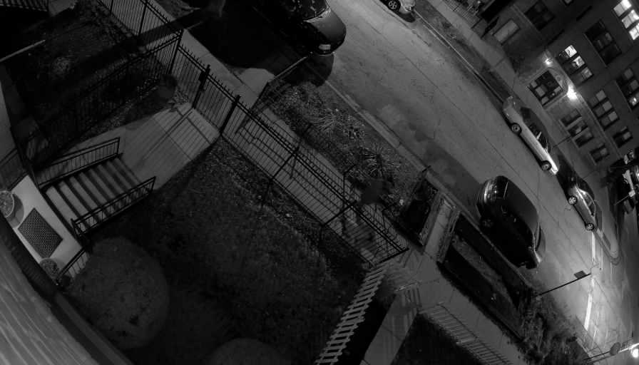 Reolink Camera Two_01_Reolink Home Hub One_20260322195629.jpg